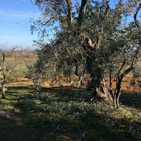 Casa San Pietro *